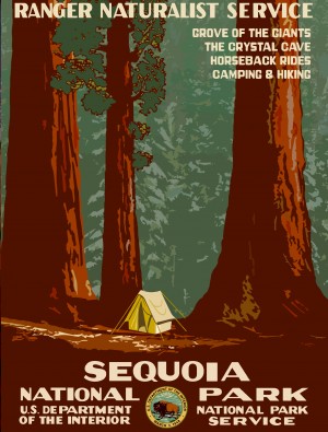 Sequoia National Park - Vintage Travel